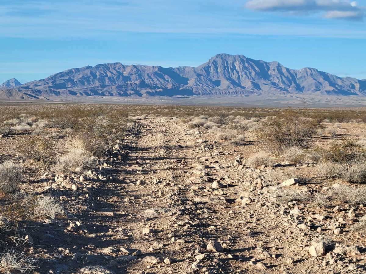 Mesa Straightaway photo 2
