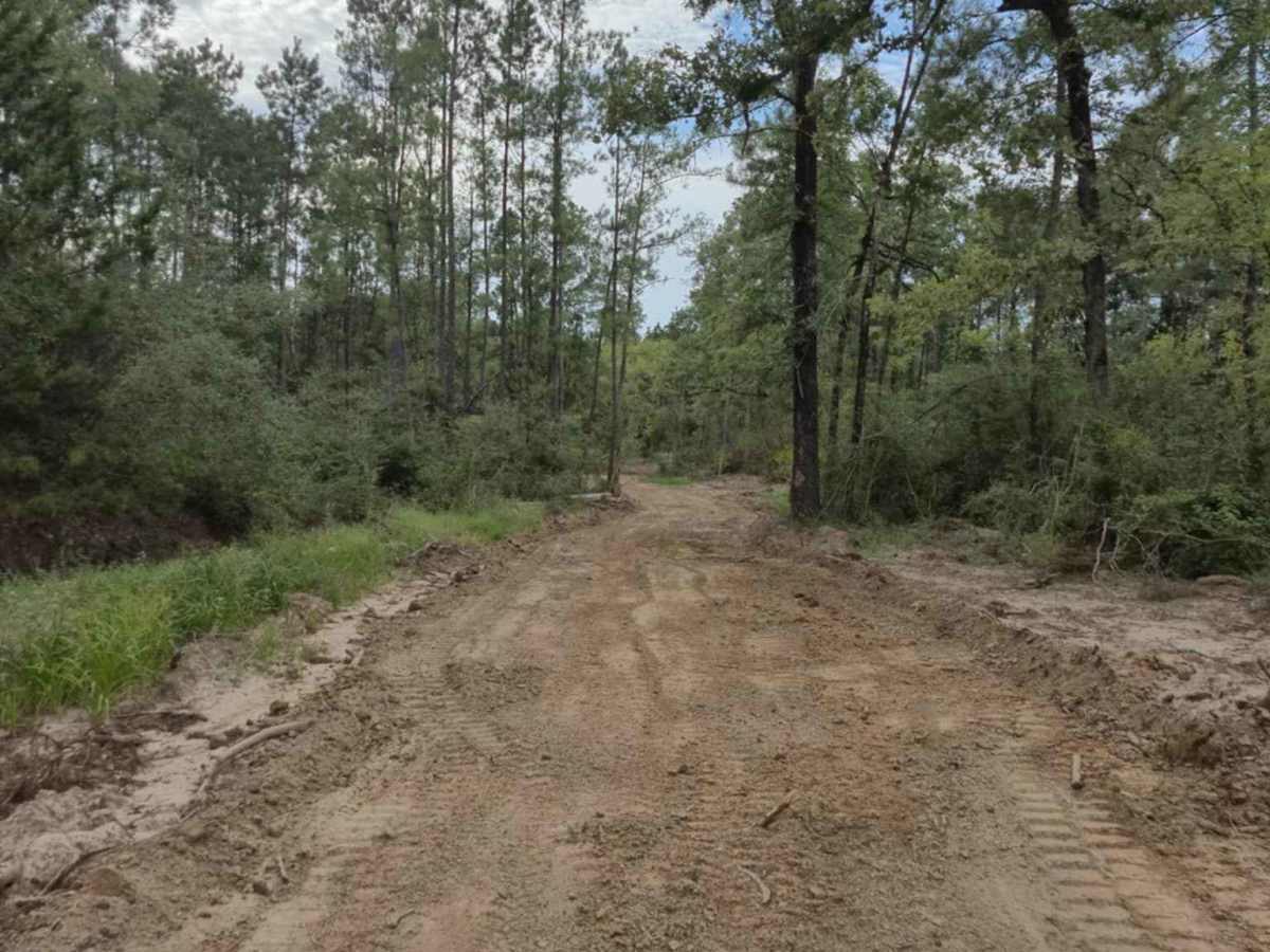 Main - CG 5 to South Fence trail photo