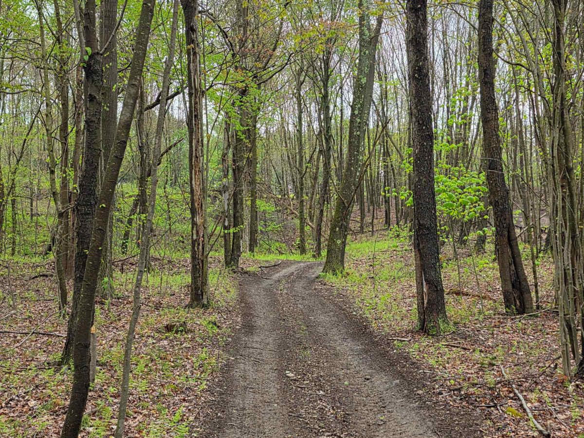 Trail 15B - Rock Run Recreation Area trail photo