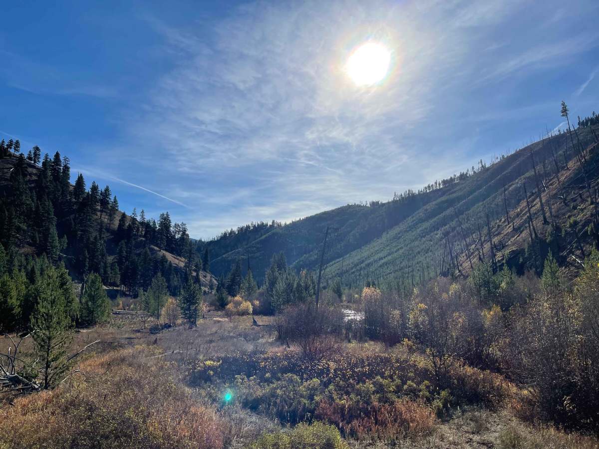 Blue Joint Trailhead Trail photo 5