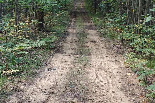 West Greenwood Trail