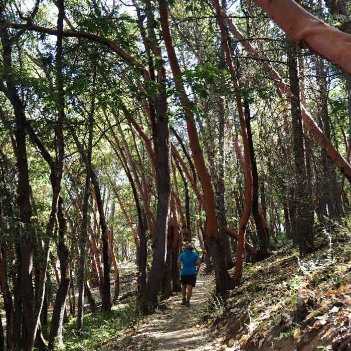 Near Britt Woods Loop