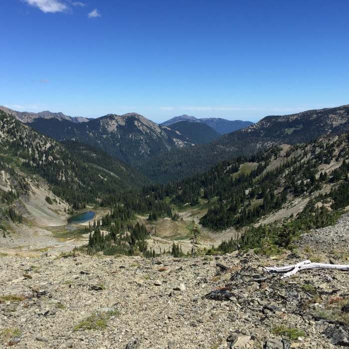 Near Upper Gray Wolf Trail