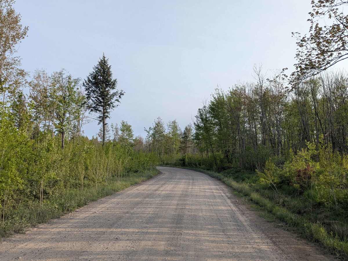 Black Creek Road photo 3