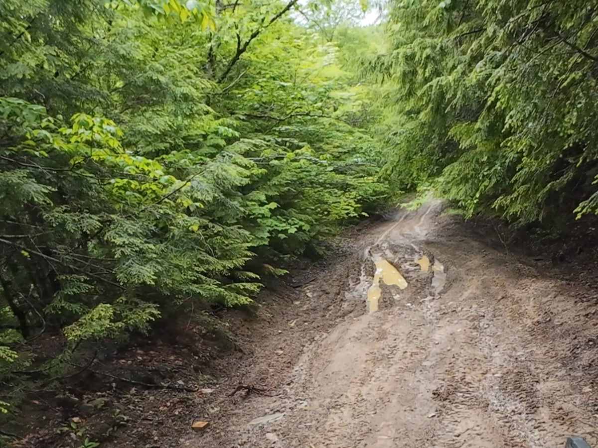 Shenstone Road trail photo