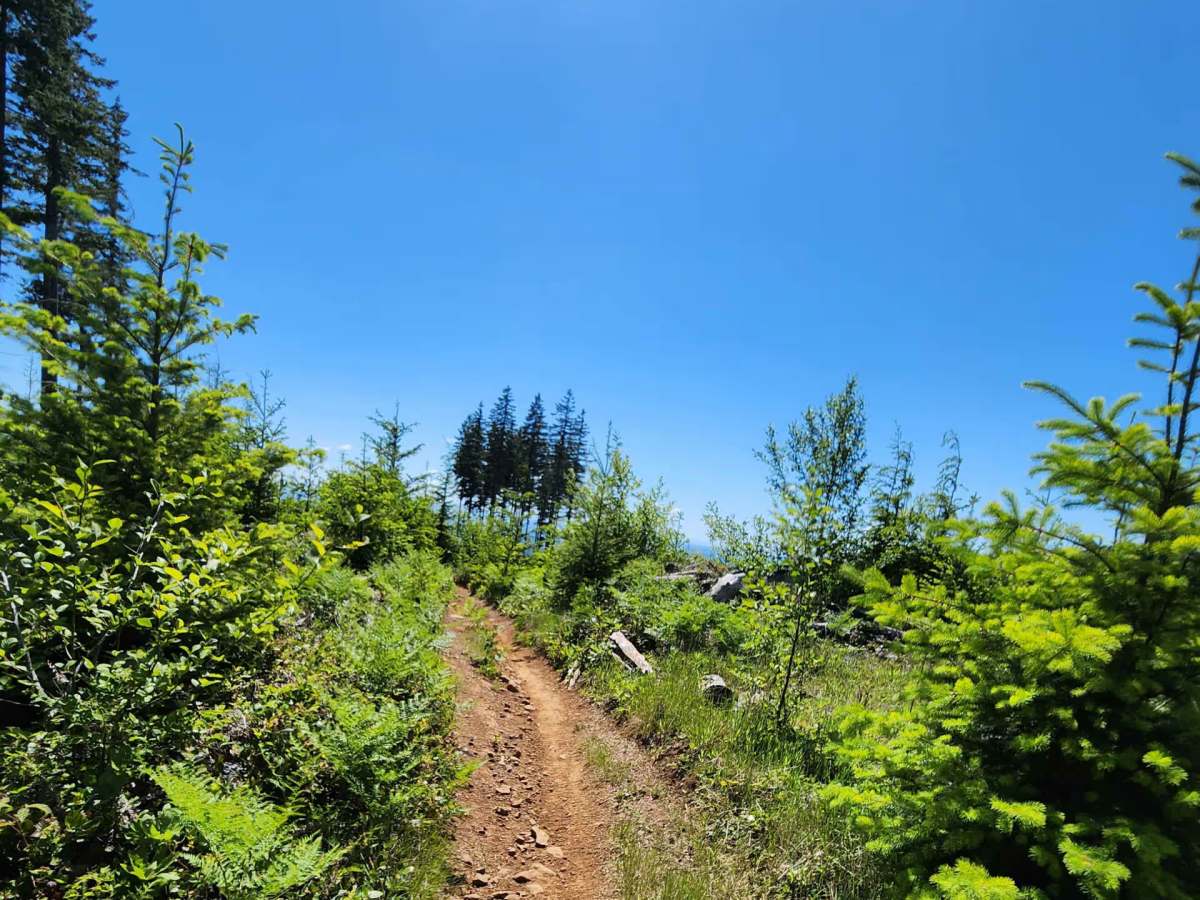 Twin Peaks Trail trail photo