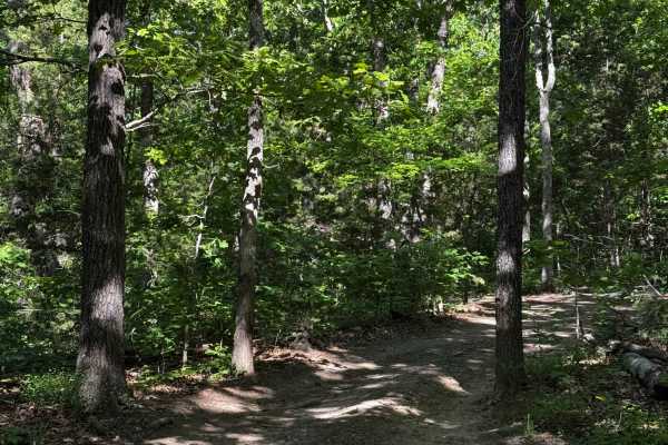 Inner Trail 17