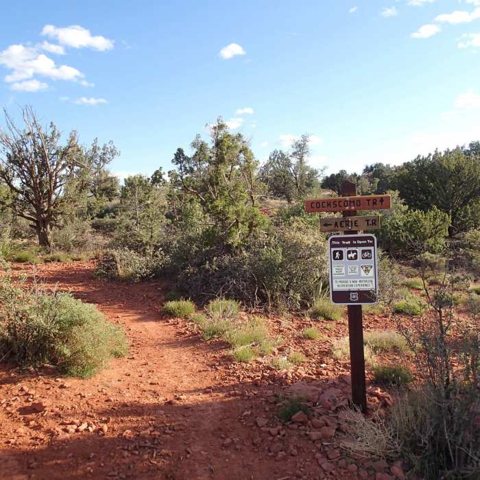 The Cockscomb Trailhead is well marked and easy to find from the parking area. Near Cockscomb Trail