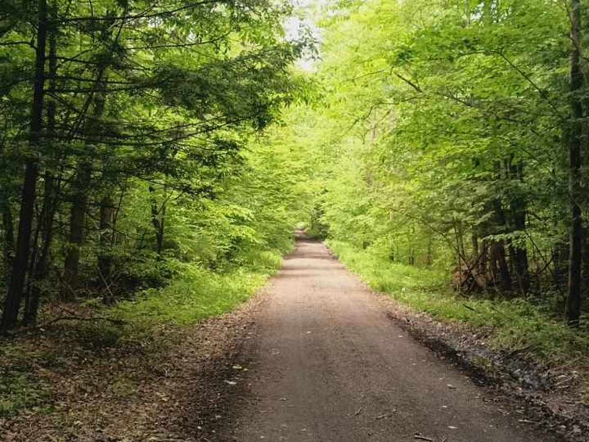 Brake Hill Road trail photo