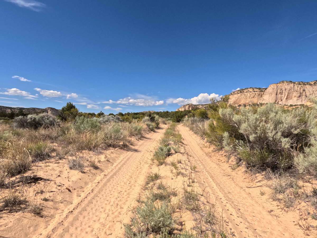 BLM 103N photo 3