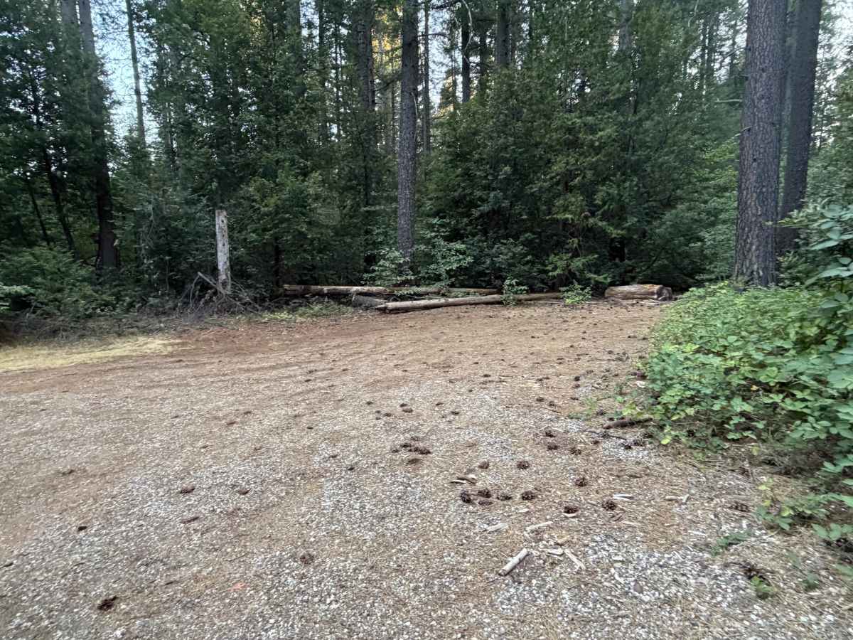 Grizzly Ridge - FS 37 photo 2