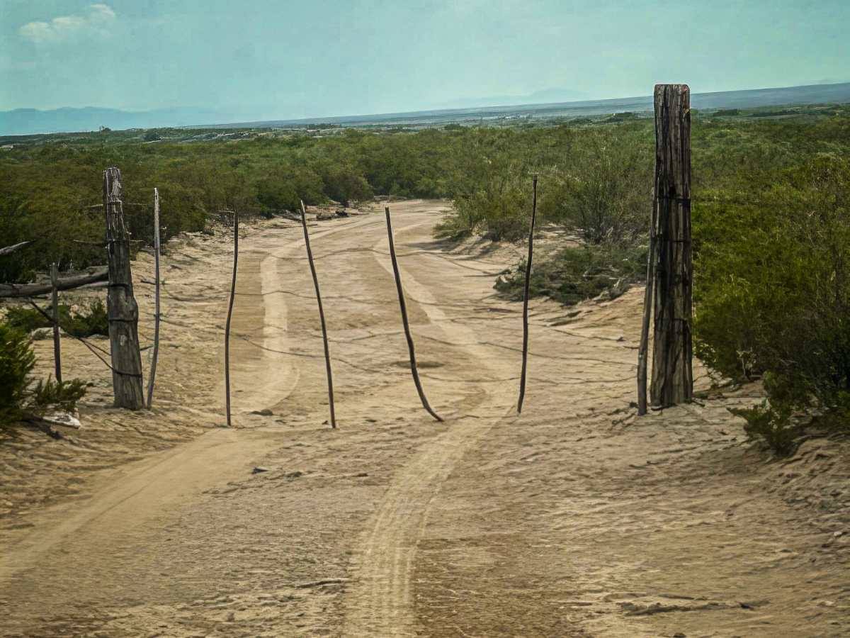 SS1157 photo 4