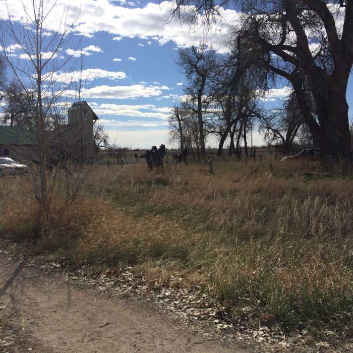 Near Sand Creek Tour