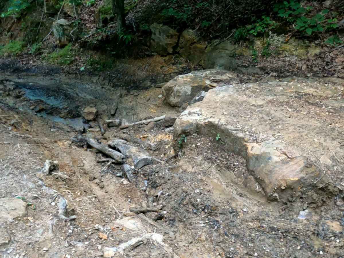 Cold Iron Fork Road photo 4
