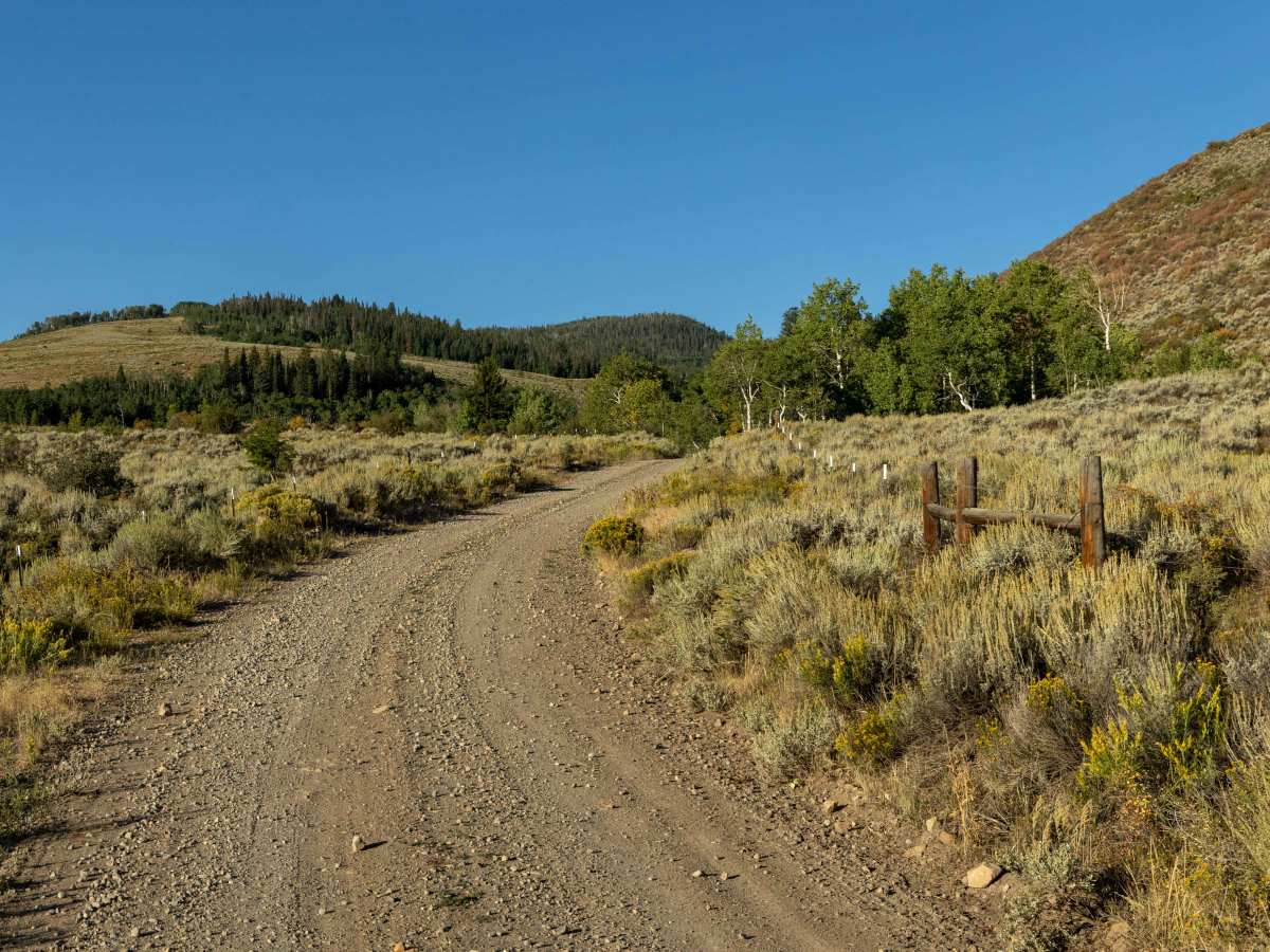 Blacktail Creek photo 3