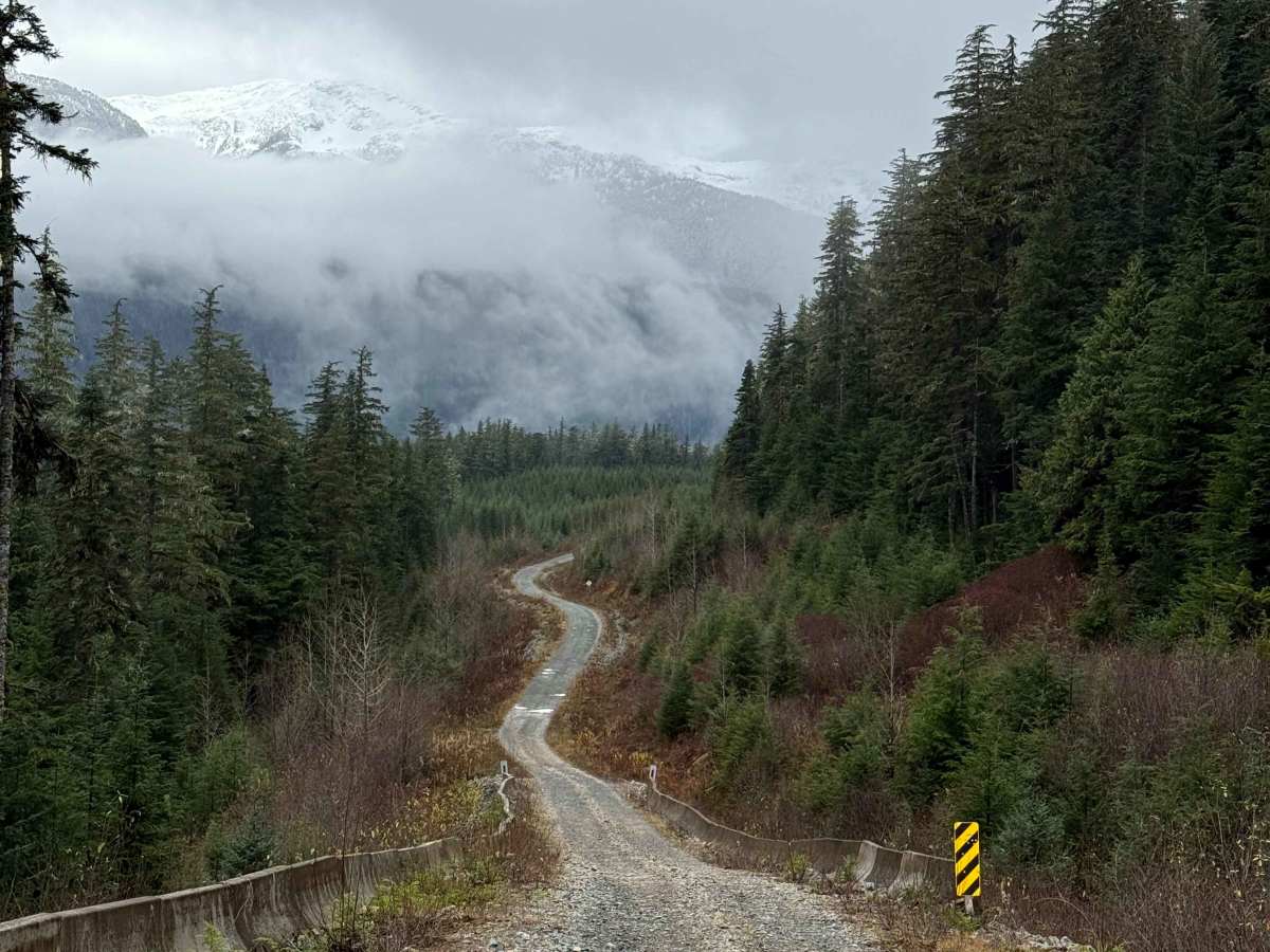 Hoult Creek Road photo 4