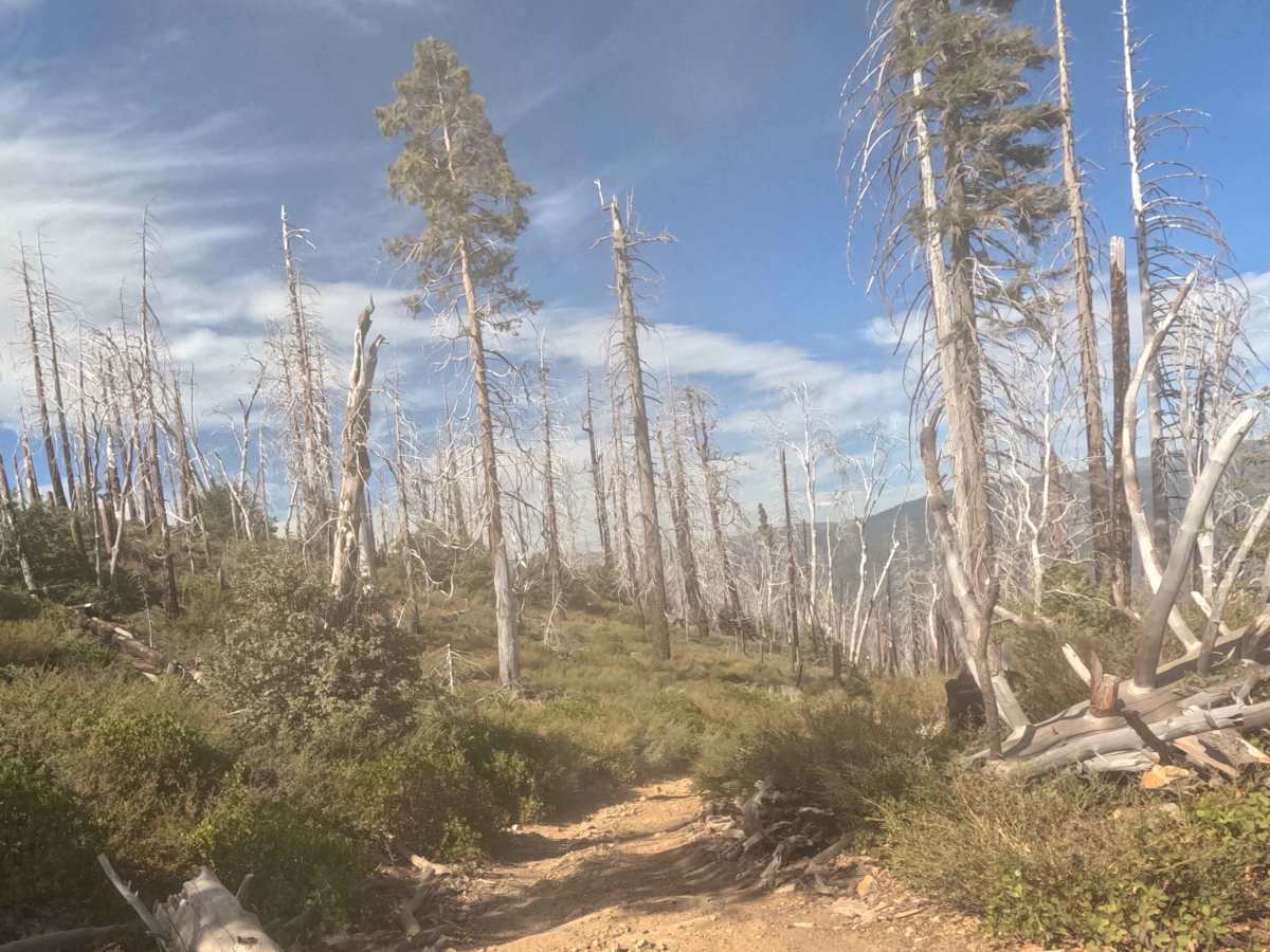 Ten Mile Grade C Spur - FS 4S004C photo 3