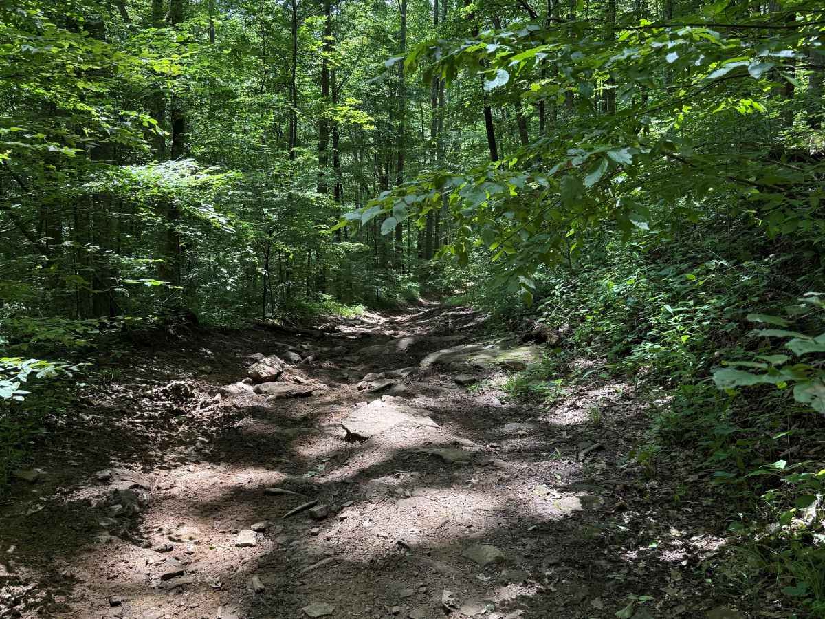 Mountain Fork photo 2