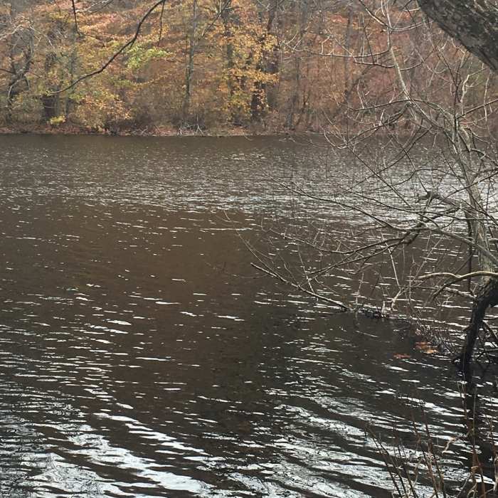 "Lake Surprise" from the north. Near Watchung Reservation Loop