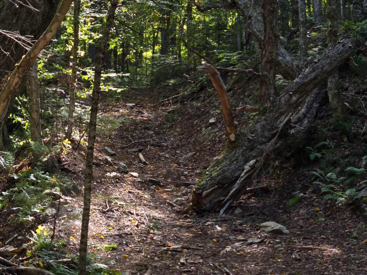 Cliffhanger  photo 5