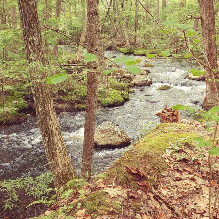 Near Purgatory Falls Out-and-Back