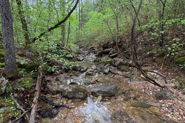 Spring Creek Falls