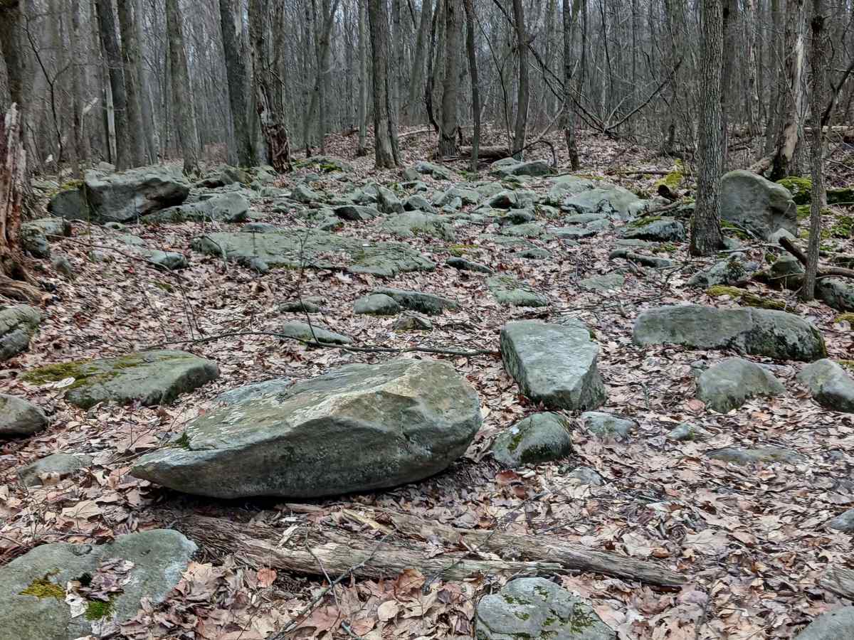 OHV 57 - Rock Run Recreation Area trail photo