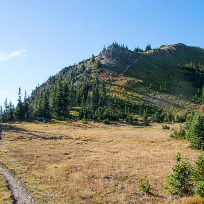 Near Jewel Basin Loop