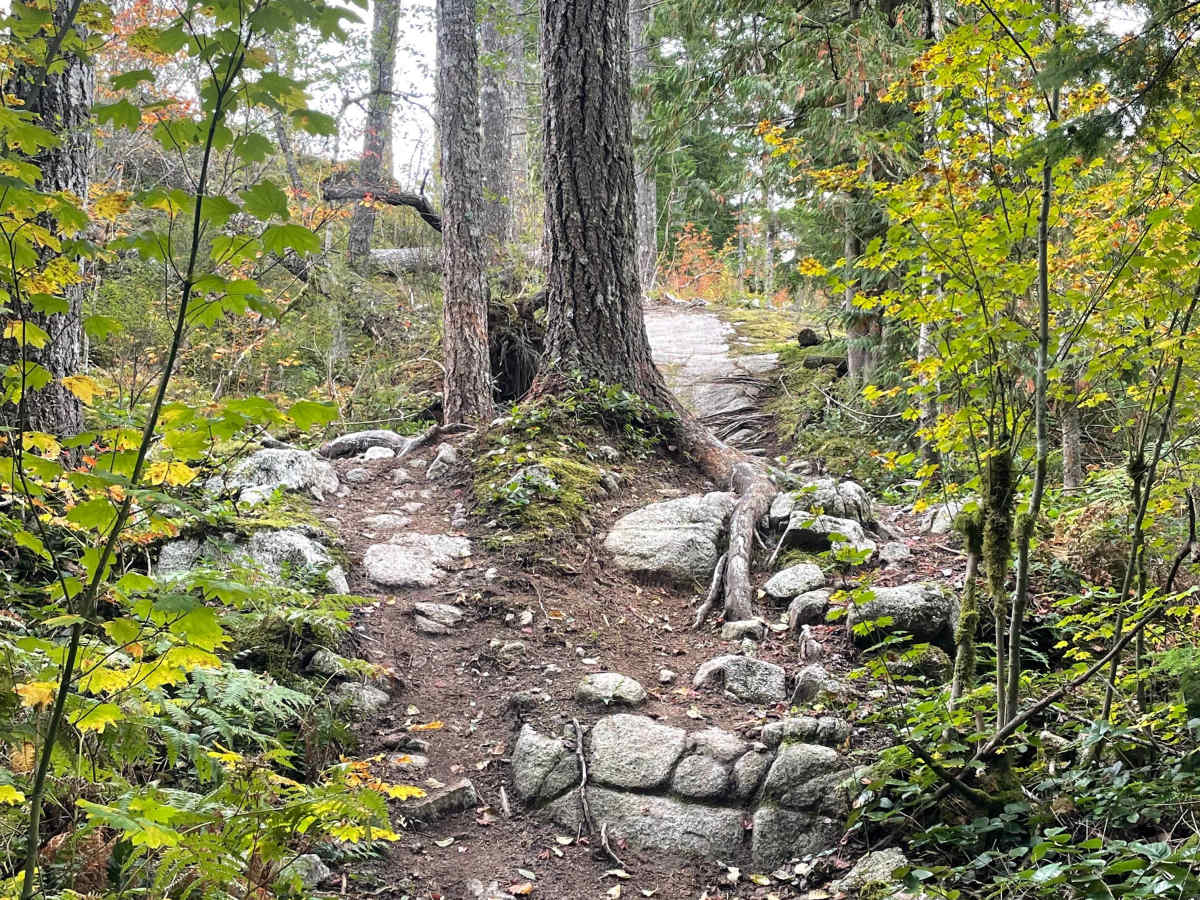 Wolf Trail trail photo