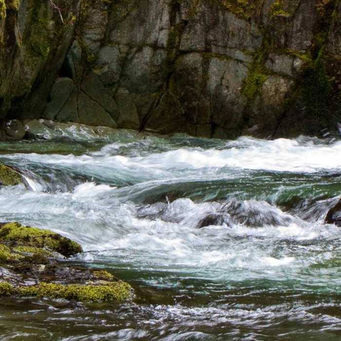 Near Horseshoe Ridge via Siouxon Trail