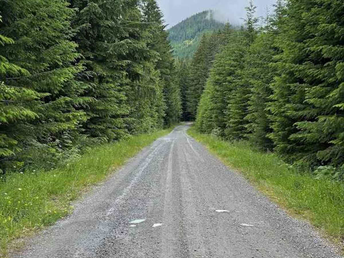 Cedar Mainline - FS 5000 photo 2