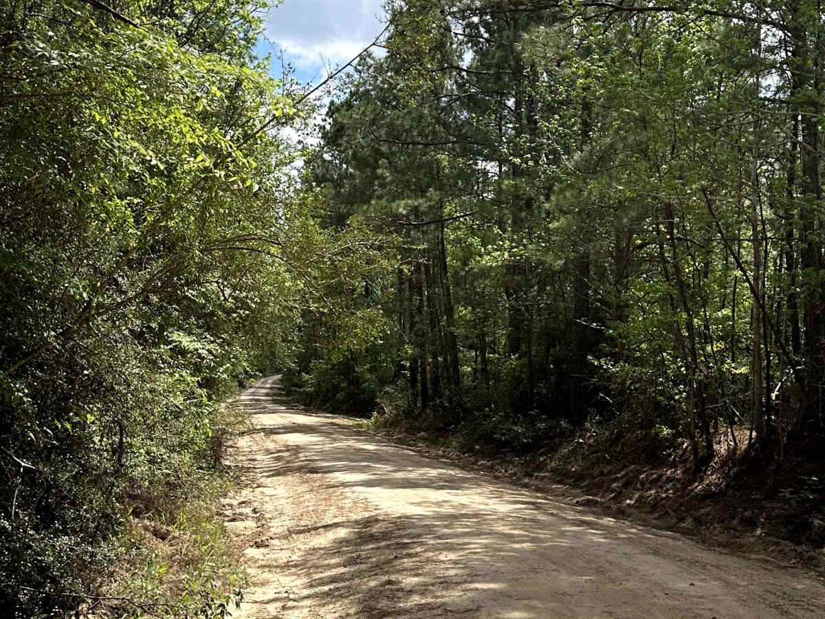 Old US Highway 287 trail photo