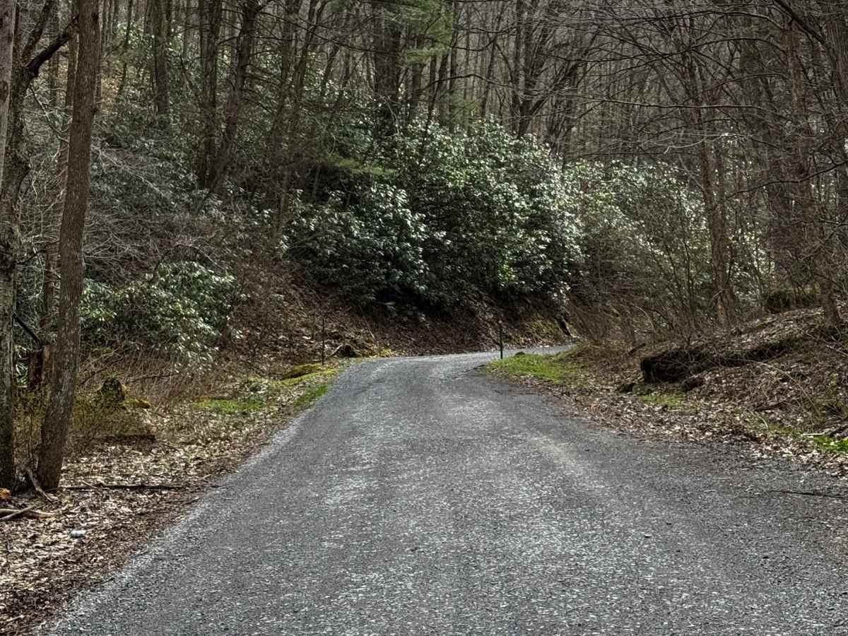 Orviston Mountain Road photo 5