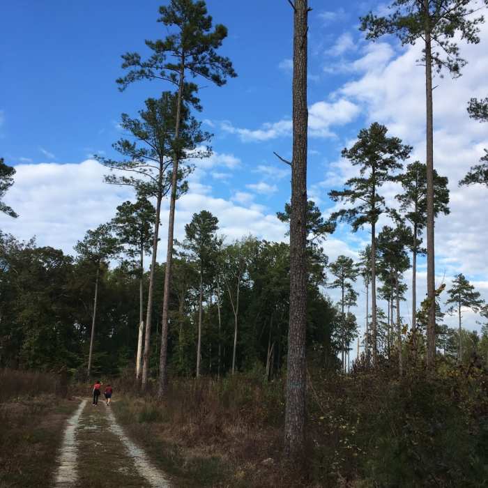 Near Duke Korstian Loop