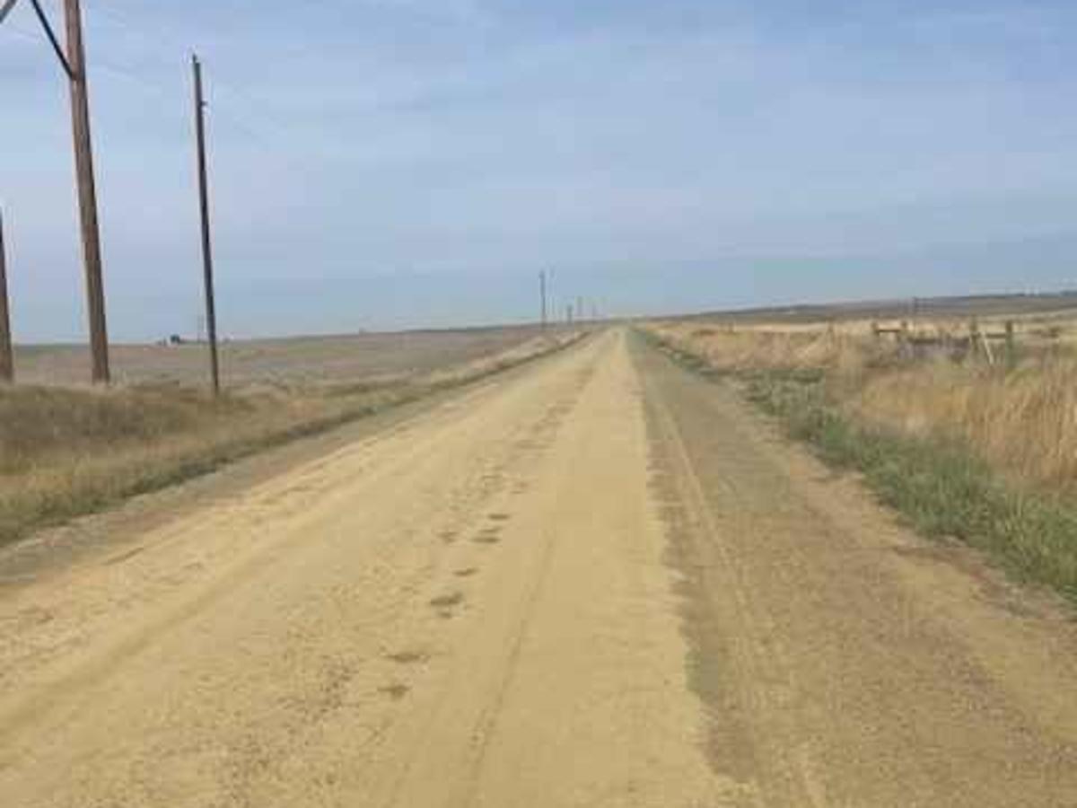 Columbus Molt Road trail photo