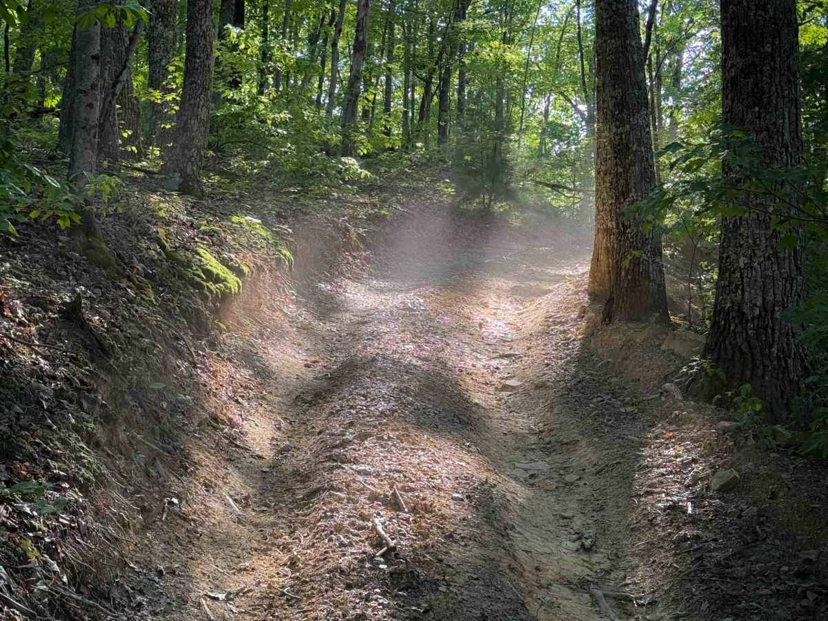 Rocky Branch Trail 23 photo 3