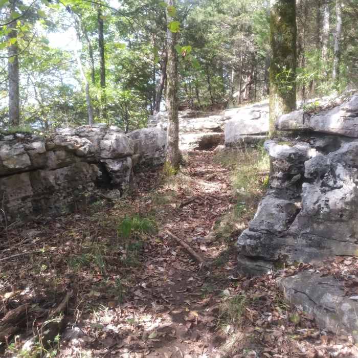 Near Volunteer Trail