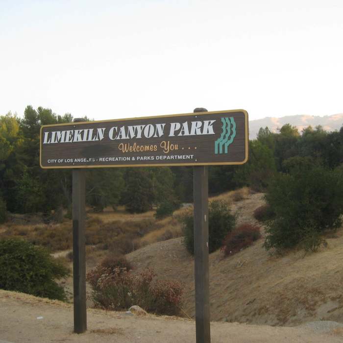 Near Limekiln Canyon Trail