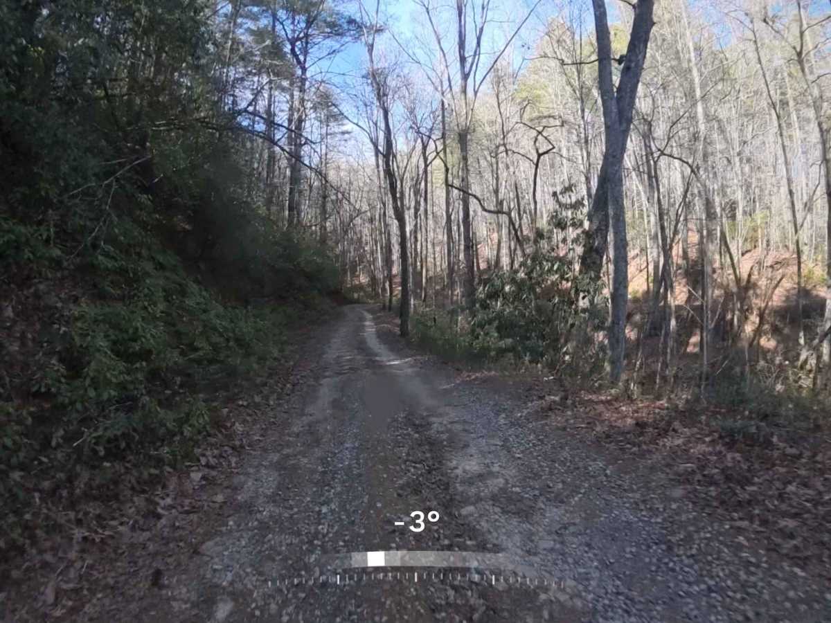 Raper Creek Road - FS 376 photo 6