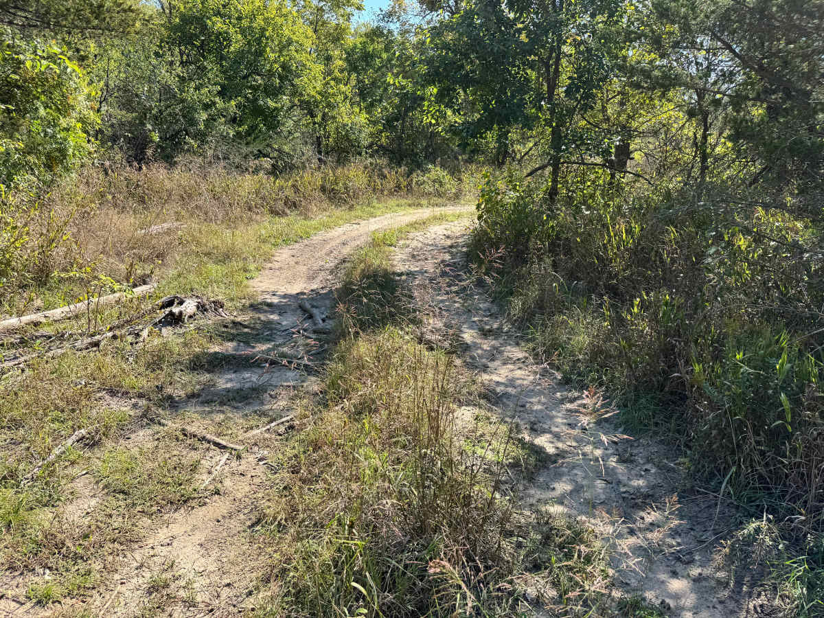 Rattle Trap Run photo 2