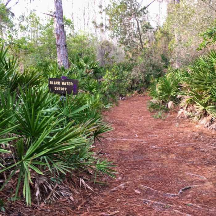 Entering Black Water Cutoff Near Full Preserve Loop