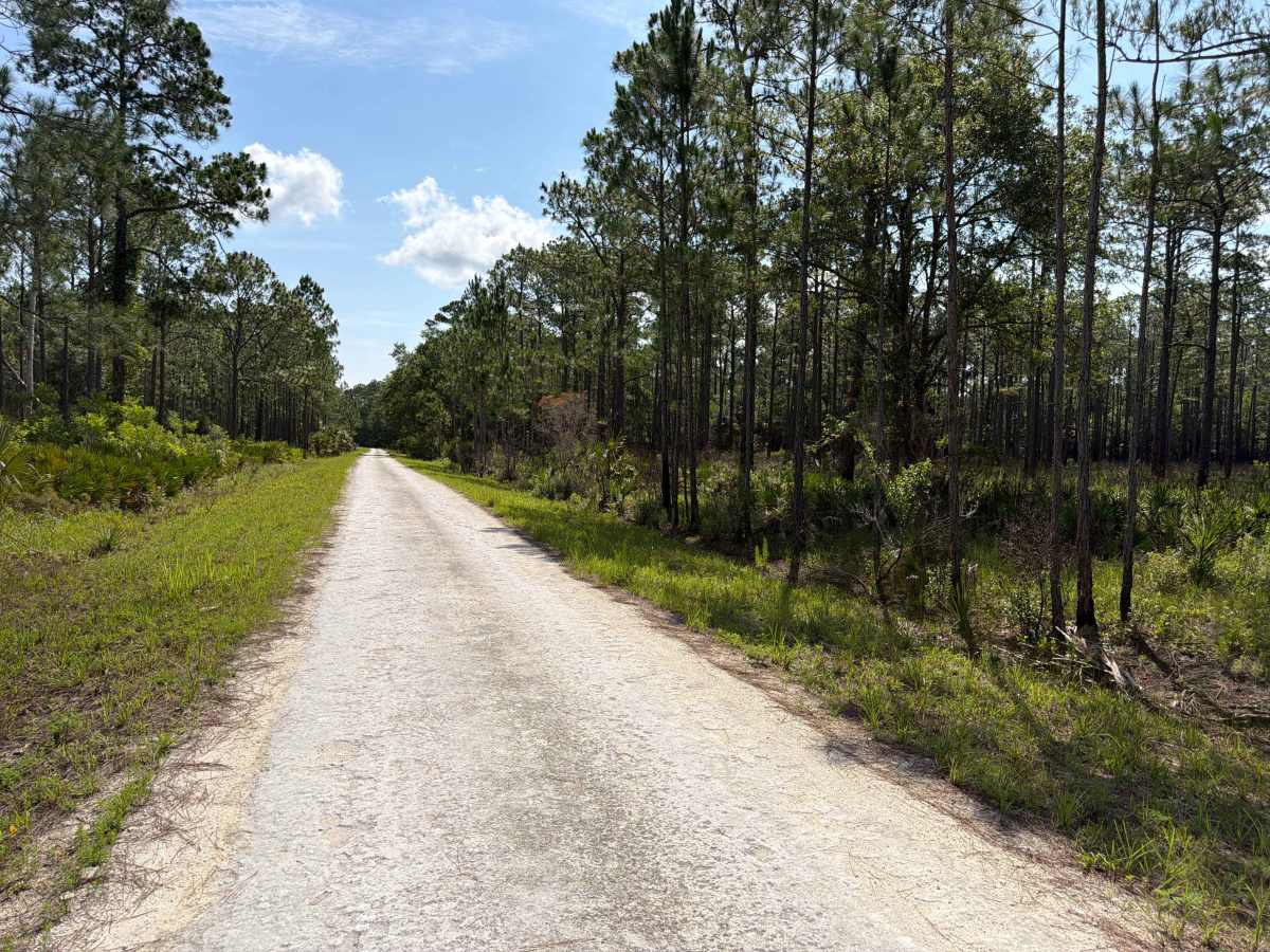 Bluffton Road photo 6