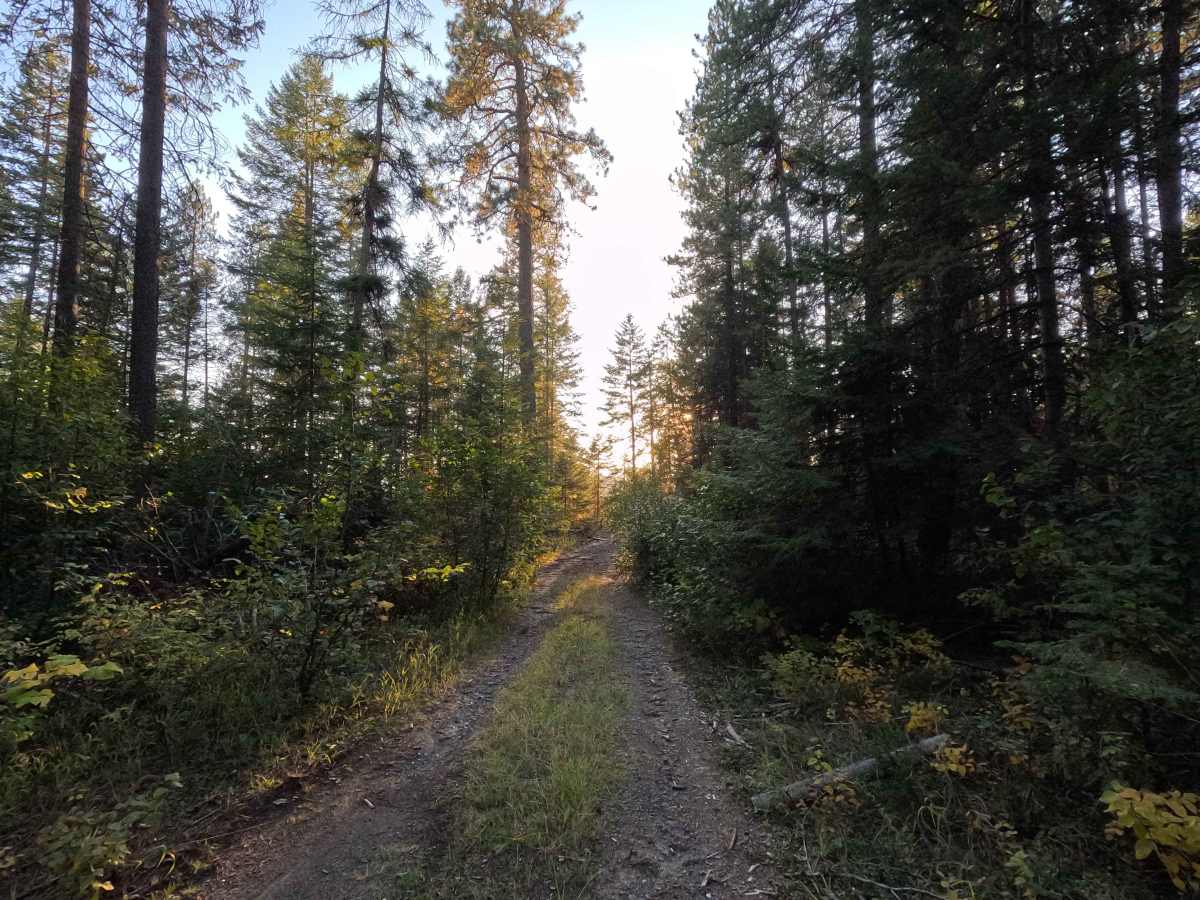 Drummond Creek - FS 9545 photo 4