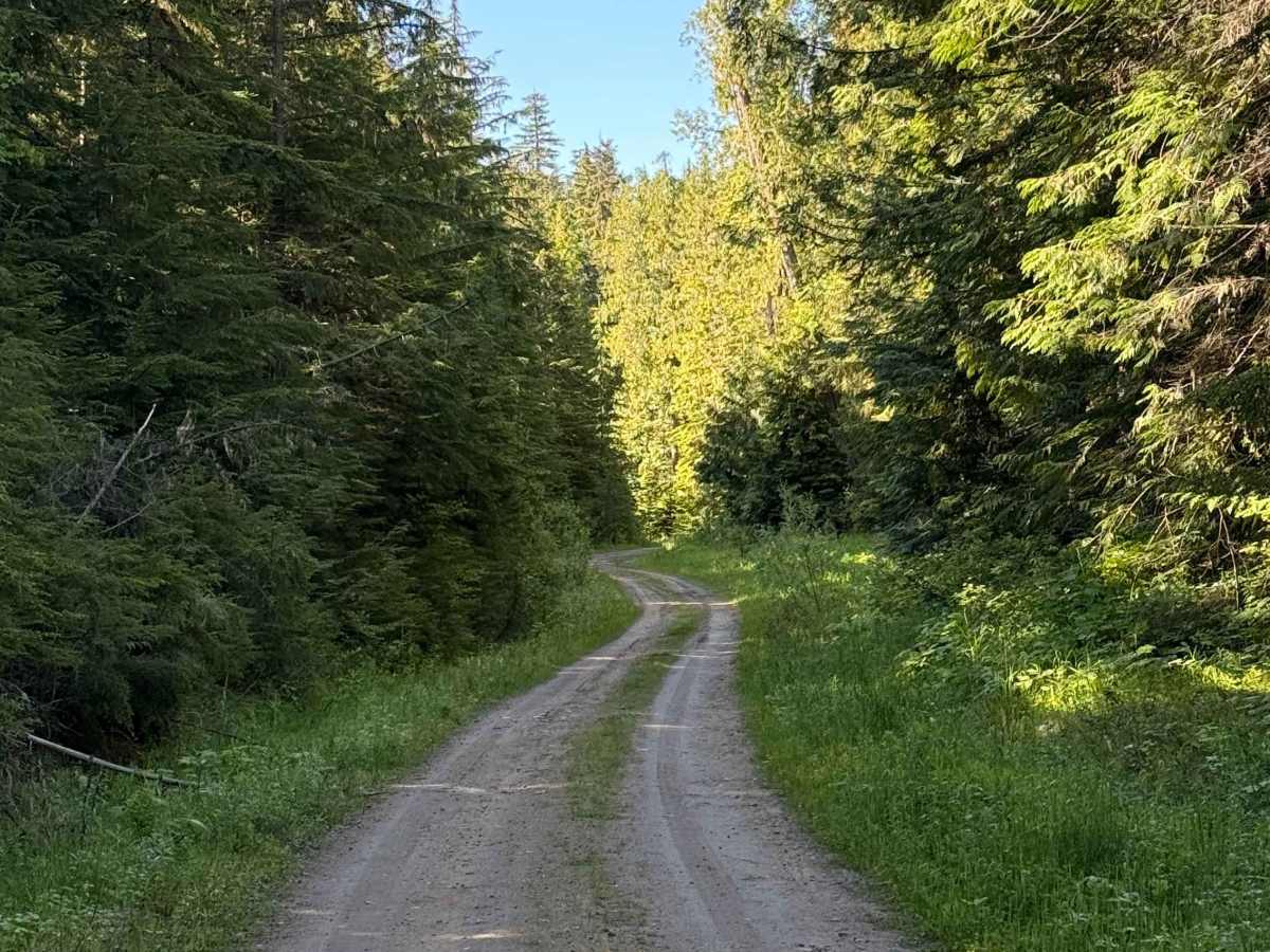 Hidden-Baird Road photo 4