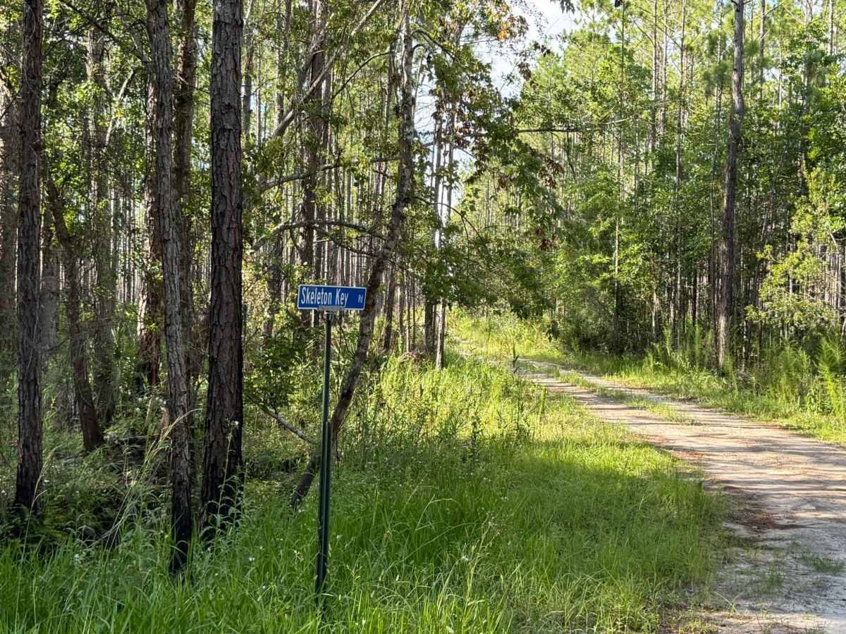 Skeleton Key Road trail photo