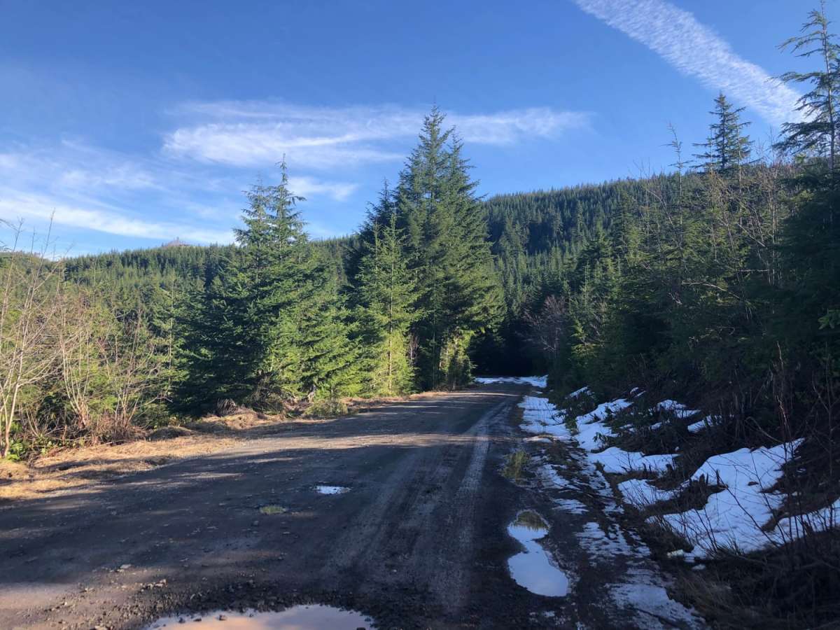 Green Mountain Road photo 4