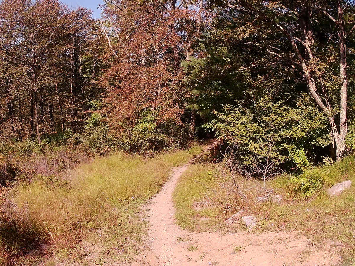 Locust Ridge road photo 4