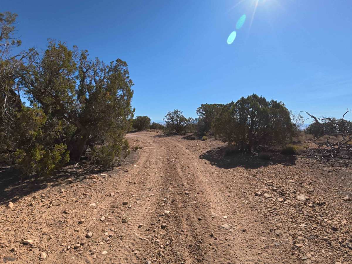 Rusty Nail Road - BLM 886 photo 6