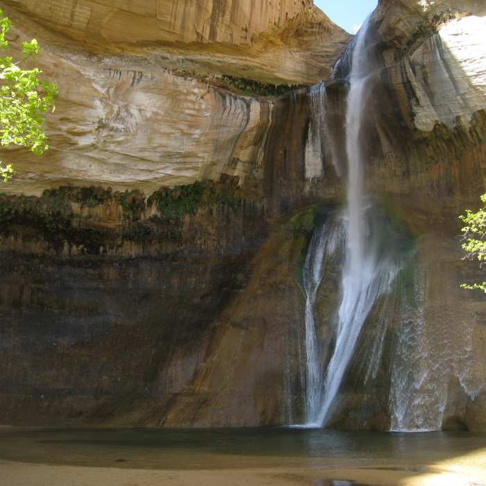 Near Lower Calf Creek Falls Trail