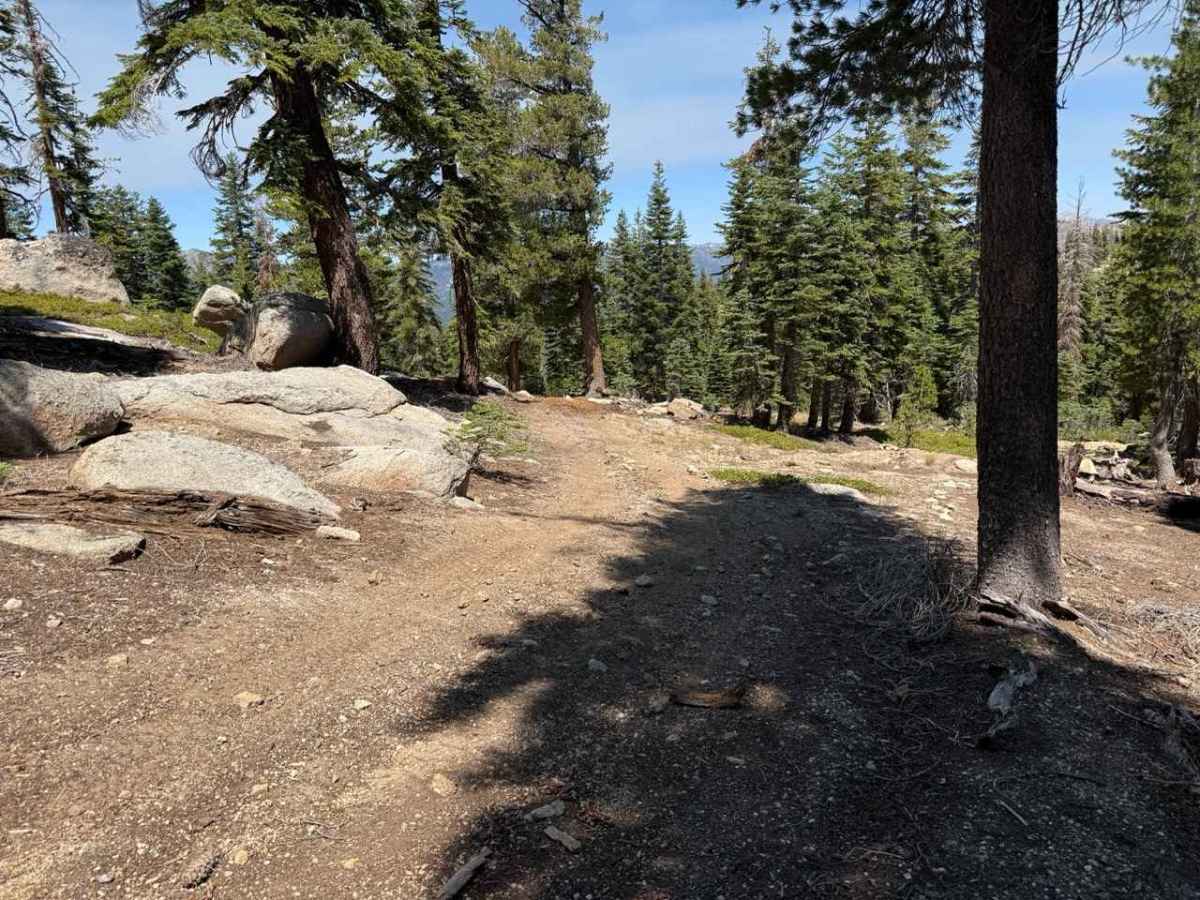 Burnside Spur - FS 31205A photo 6